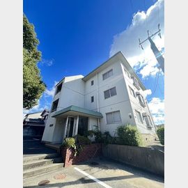 松ヶ丘ハイツ 3階 築45年5ヶ月の賃貸物件