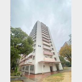 武庫川団地前駅より徒歩18分 12階 築42年の賃貸物件