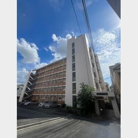 サンコート芦屋 1階 築53年3ヶ月の賃貸物件