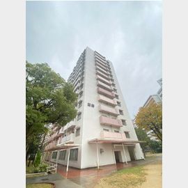 武庫川団地前駅より徒歩18分 8階 築42年の賃貸物件