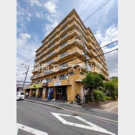 野崎駅より徒歩11分 5階 築34年8ヶ月の賃貸物件