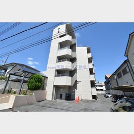 メゾンド中新開 2階 築35年6ヶ月の賃貸物件