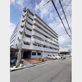 スカイハイツ 6階 築33年7ヶ月の賃貸物件