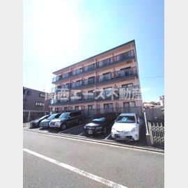 カトレアハイツ 4階 築31年10ヶ月の賃貸物件