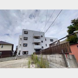 野崎駅より徒歩19分 3階 築37年1ヶ月の賃貸物件