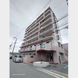 オークハイツ 8階 築29年10ヶ月の賃貸物件