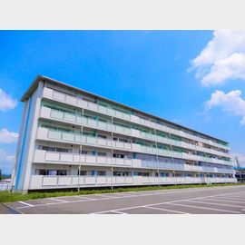 日野駅より徒歩33分 築41年5ヶ月 5階建の賃貸物件