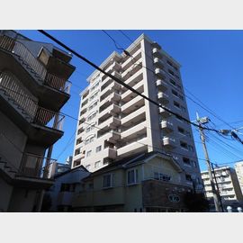 東大宮駅より徒歩2分 11階 築20年10ヶ月の賃貸物件