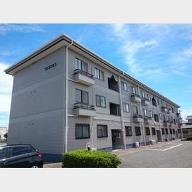 Ｔ．Ｓ．コスモス 1階 築30年11ヶ月の賃貸物件