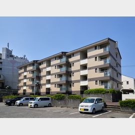 グリーンハイツ大津和の賃貸物件