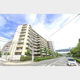 青木駅より徒歩12分 9階 築41年3ヶ月の賃貸物件