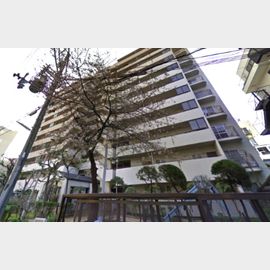 岩屋駅より徒歩3分 4階 築40年8ヶ月の賃貸物件