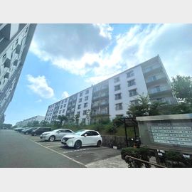 渦森団地６号館の賃貸物件