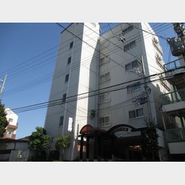 フラワー芦屋 築55年1ヶ月の賃貸物件