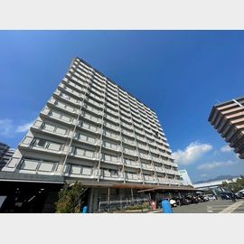 北埠頭駅より徒歩45分 築43年8ヶ月 14階建の賃貸物件