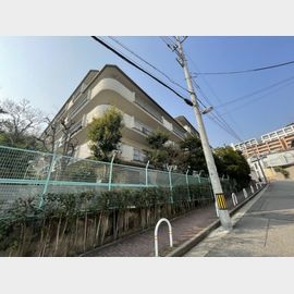 芦屋川駅より徒歩21分 1階 築46年2ヶ月の賃貸物件