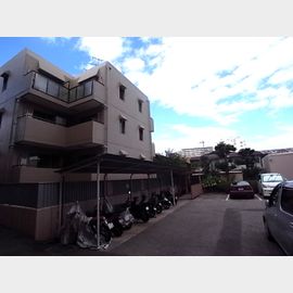 ダイドーメゾン青木 築36年6ヶ月の賃貸物件