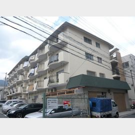 ハイツローレル 築49年10ヶ月の賃貸物件