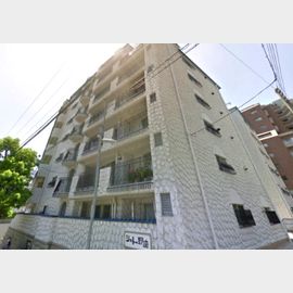 シャトー野崎 築52年10ヶ月の賃貸物件