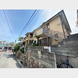 ベルシオン芦屋 築38年9ヶ月の賃貸物件