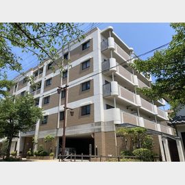 芦屋駅より徒歩7分 築27年7ヶ月 5階建の賃貸物件