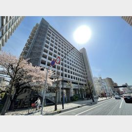 フォルザ住吉Ｓ棟 11階 築27年1ヶ月の賃貸物件