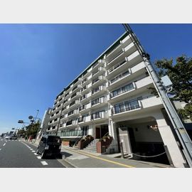 芦屋川アーバンライフ 築53年8ヶ月の賃貸物件