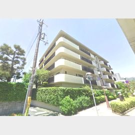 住吉川アーバンライフ 築46年の賃貸物件