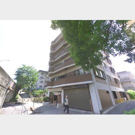 コロナール住吉 築36年10ヶ月の賃貸物件