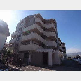 ボンスタート 4階 築31年10ヶ月の賃貸物件