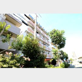 アムール六甲駅前 2階 築44年の賃貸物件