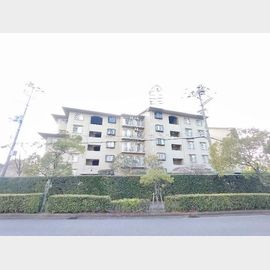 芦屋駅より徒歩19分 5階 築44年7ヶ月の賃貸物件