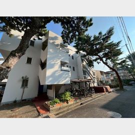 住吉サンライズマンション 築47年7ヶ月の賃貸物件