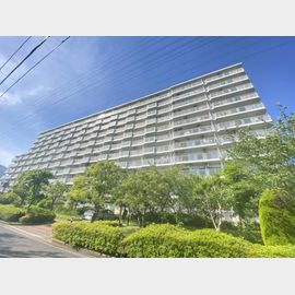 サンロイヤル武庫川サンク 築39年9ヶ月の賃貸物件