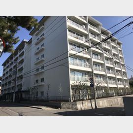 芦屋駅より徒歩9分 築57年2ヶ月 7階建の賃貸物件