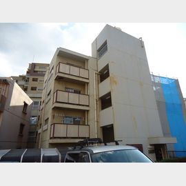 マツヤ興産（株）マツヤパークマンション 築52年11ヶ月の賃貸物件