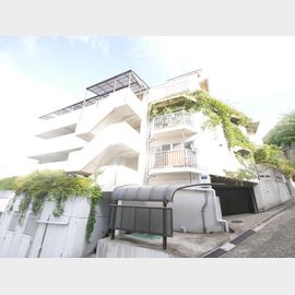 芦屋駅より徒歩18分 築49年1ヶ月 5階建の賃貸物件