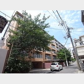 住吉駅より徒歩11分 築53年6ヶ月 8階建の賃貸物件