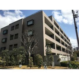 打出駅より徒歩17分 築29年8ヶ月 5階建の賃貸物件