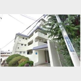 メゾンクレオ 築54年9ヶ月の賃貸物件