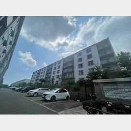 御影駅より徒歩22分 築55年6ヶ月の賃貸物件