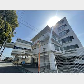 ダンディライオン住吉川 築37年1ヶ月の賃貸物件