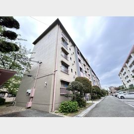 鶴甲コーポ２０号館 築57年7ヶ月の賃貸物件