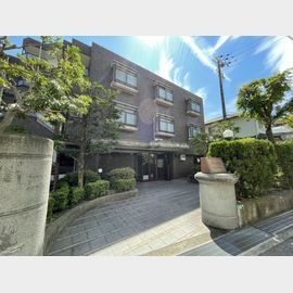 ゼフィール芦屋 3階 築34年8ヶ月の賃貸物件