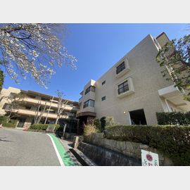 ヒルサイドテラス甲陽園 1階 築39年3ヶ月の賃貸物件
