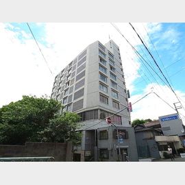 湊川駅より徒歩5分 8階 築51年1ヶ月の賃貸物件