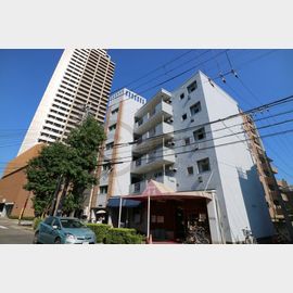メゾン琵琶 築46年9ヶ月の賃貸物件