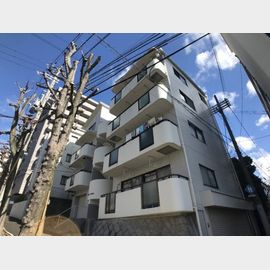 Ｍ．Ｆハイツ熊内 築39年10ヶ月の賃貸物件