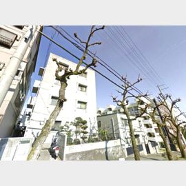 川崎マンション 築57年5ヶ月の賃貸物件