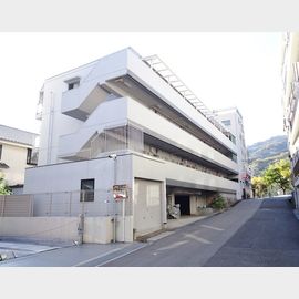 グレイス３１０ 築49年9ヶ月の賃貸物件